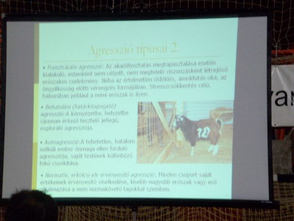 foto-14