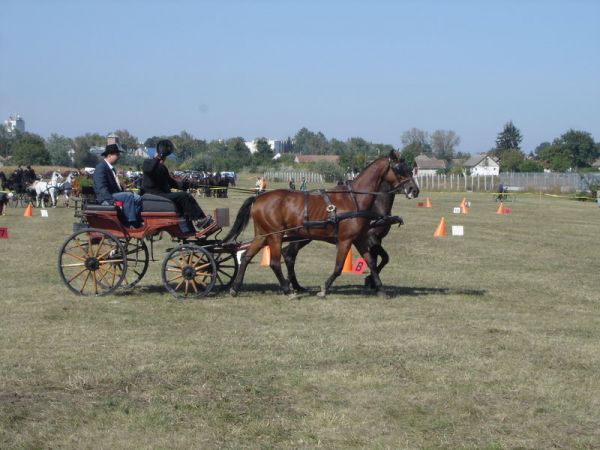 foto-100