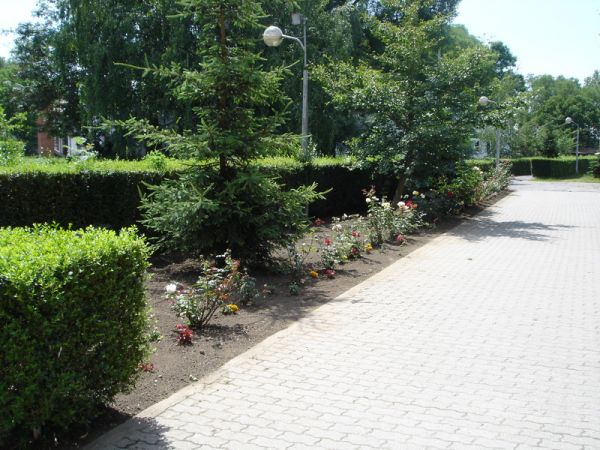foto-26