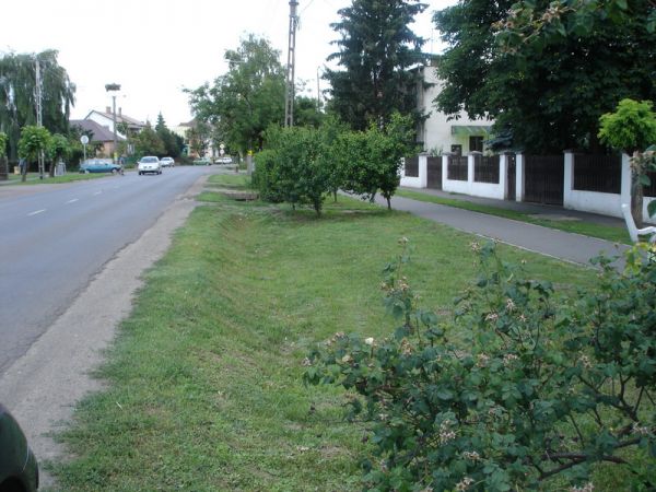foto-33