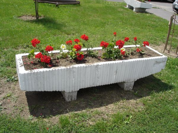 foto-36