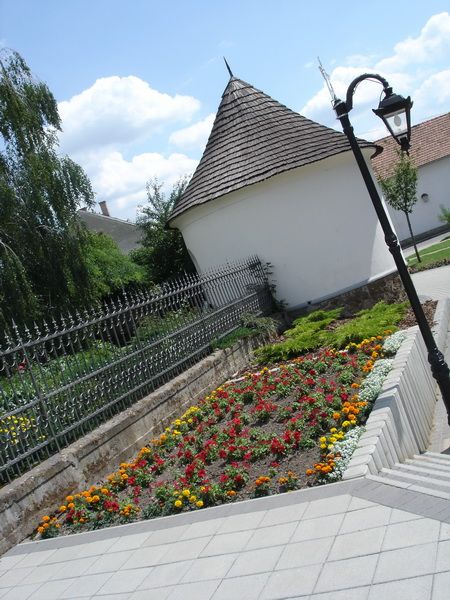 foto-45