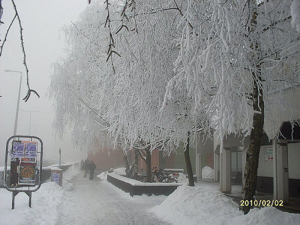 foto-12