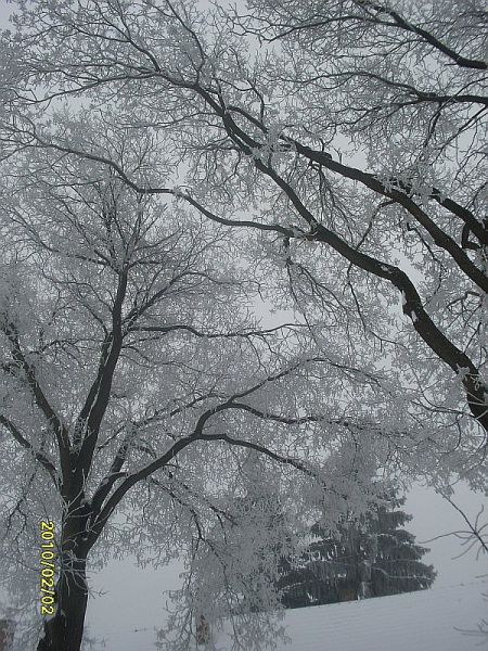 foto-22