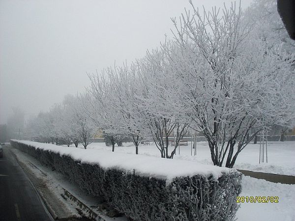 foto-23