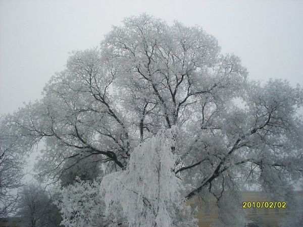 foto-35