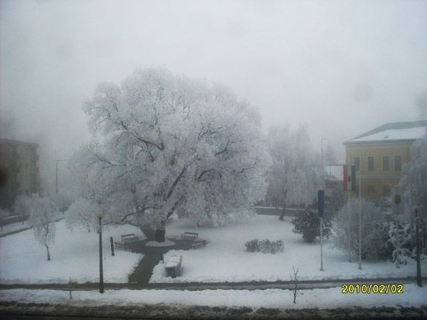 foto-38